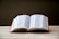An open dictionary rests on a light wooden surface, displaying a list of words and their definitions. The book has visible index tabs on the side.