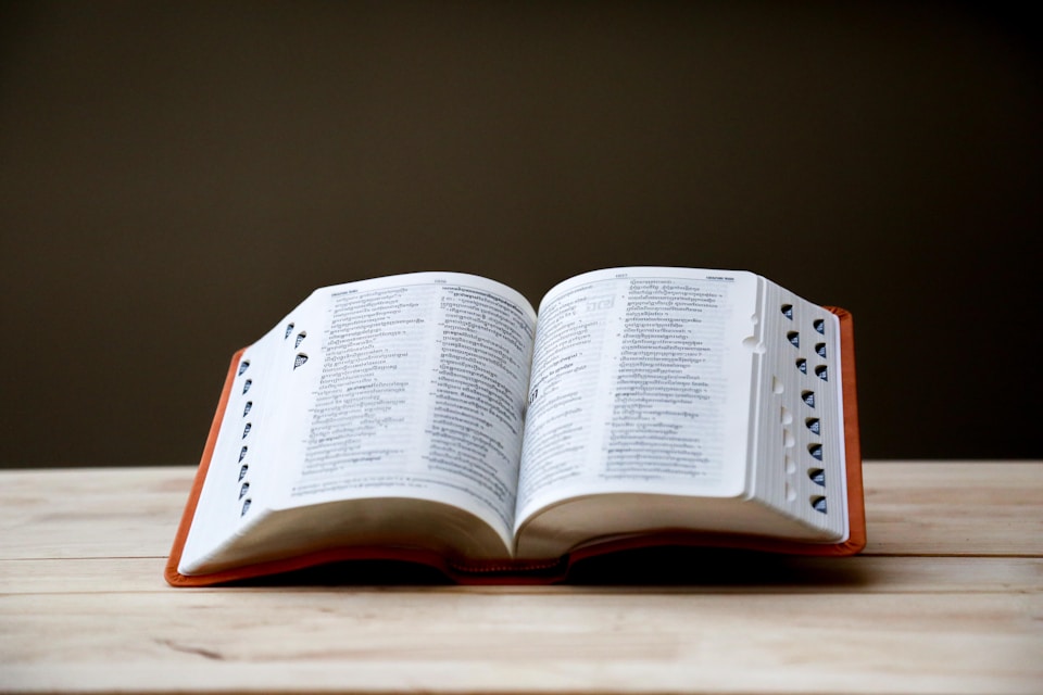 List of Words Oxford Shortlisted for Word of the Year 2023
