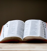 opened book on brown table