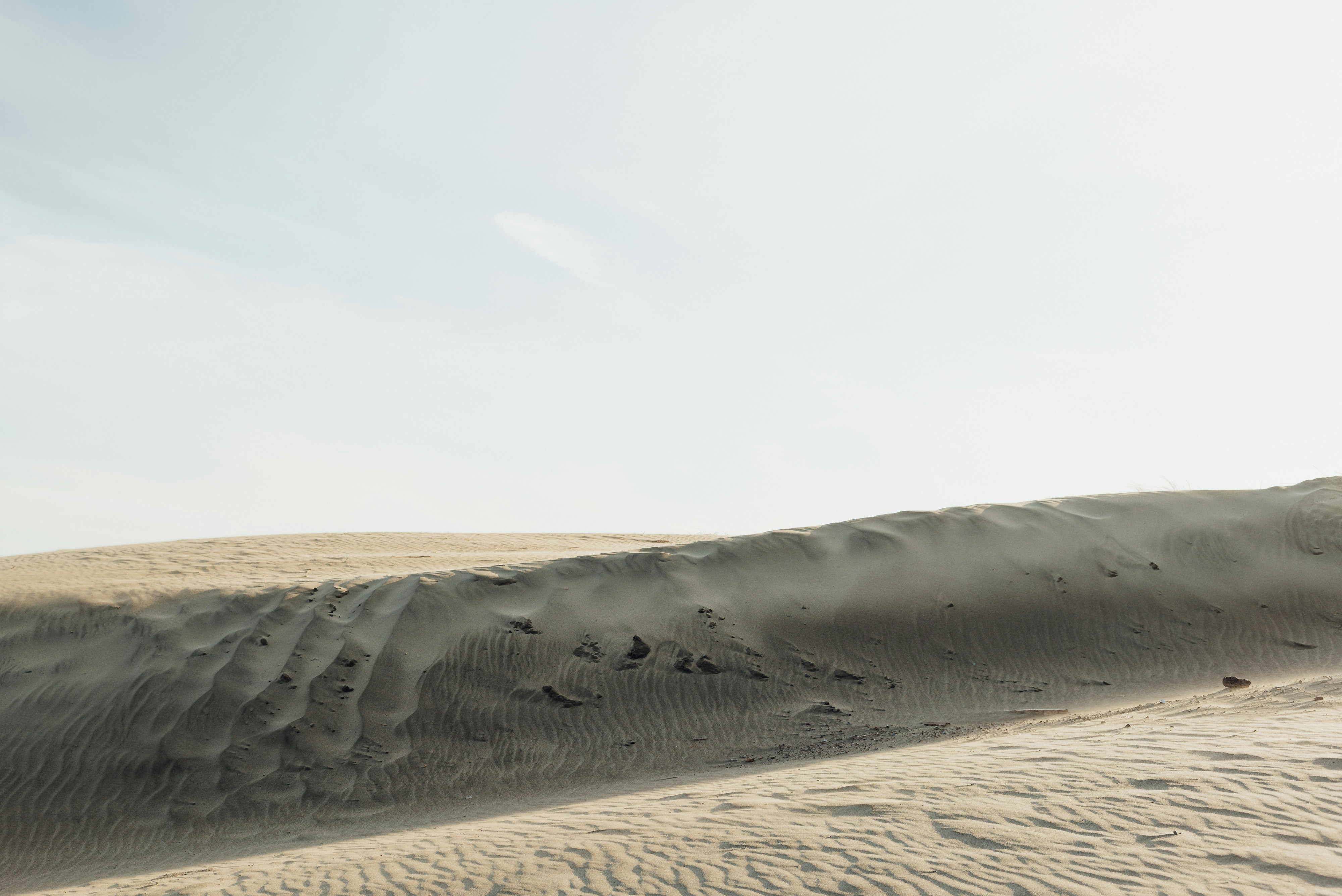 Photo by thommilkovic