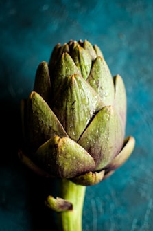 green flower bud