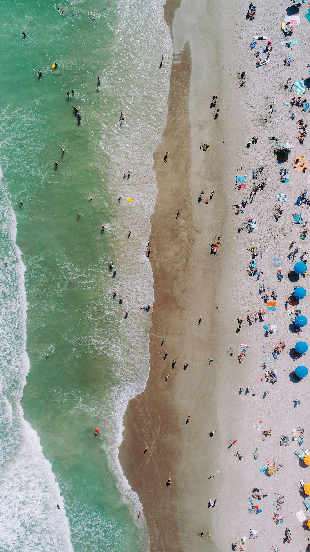 aerial photo of people on seashore during daytime photo