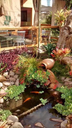 A vibrant commercial garden with a custom-built koi pond surrounded by lush greenery and blooming flowers.