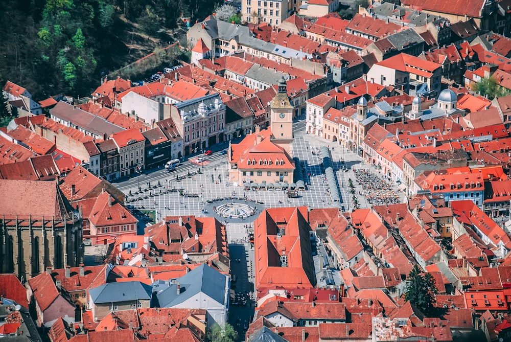 aerial photo of village