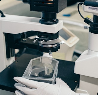 person holding black and white microscope