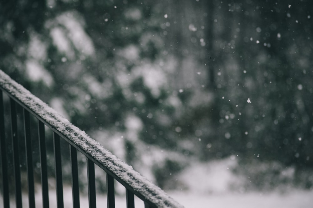 selective focus photography of falling snow on barrier