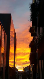 A warm sunset behind a contemporary home in Chicago’s historic third ward neighborhood, highlighting architectural details and vibrant community life.