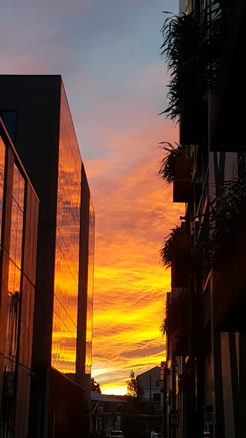 A warm sunset behind a contemporary home in Chicago’s historic third ward neighborhood, highlighting architectural details and vibrant community life.