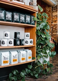 A wooden shelf displays various packaged coffee products, including bags labeled 'Please & Thank You' and 'Good Folks.' The shelf is complemented by a lush green potted plant climbing around the base and sides. The background features an exposed brick wall and some metallic air ducts.