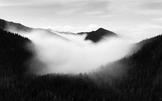 mountain in Mount Rainier National Park United States