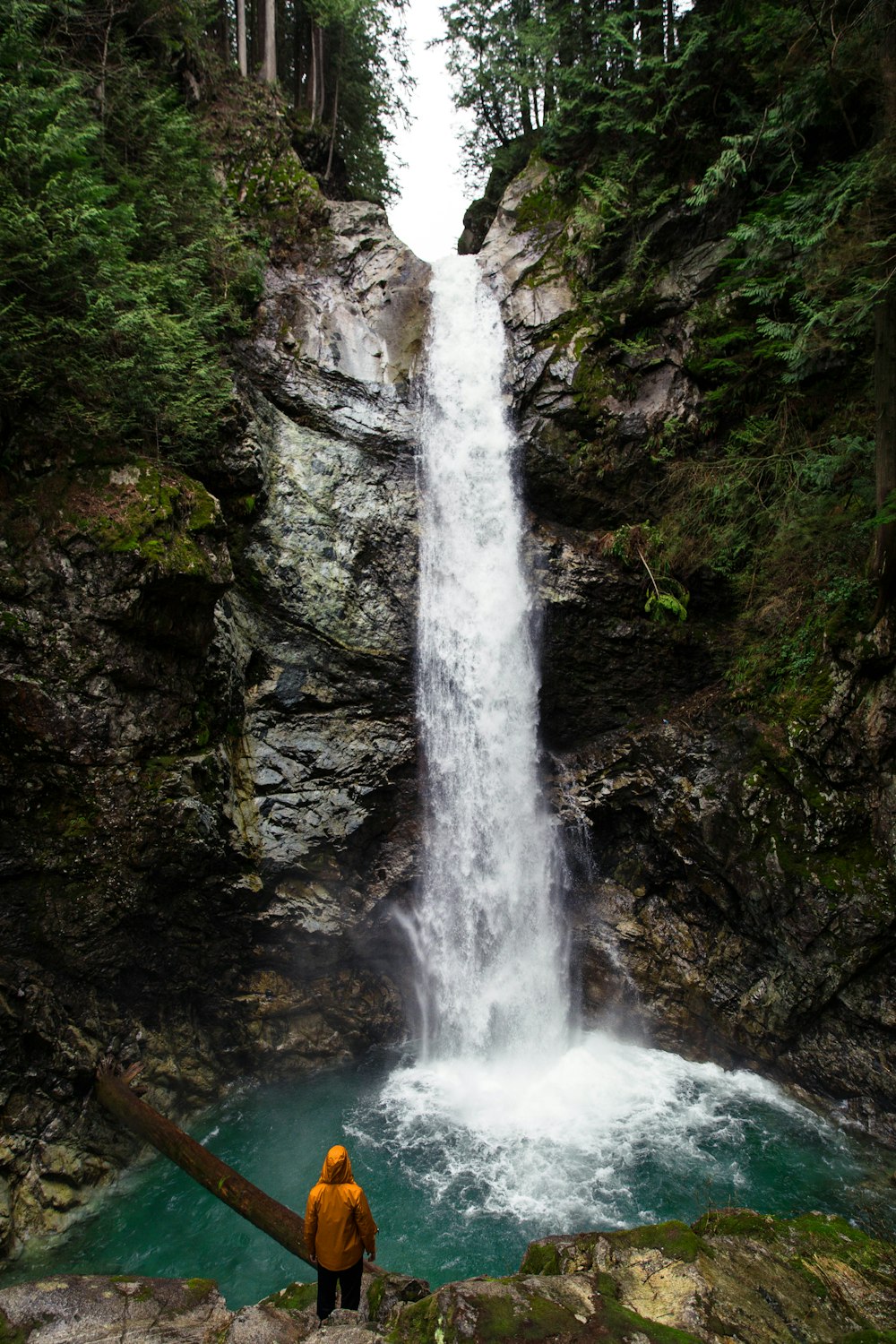 person standing near waterfall