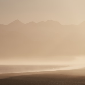 Minimalist landscape with fog rolling over a quiet forest at dawn