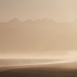 Minimalist landscape with fog rolling over a quiet forest at dawn