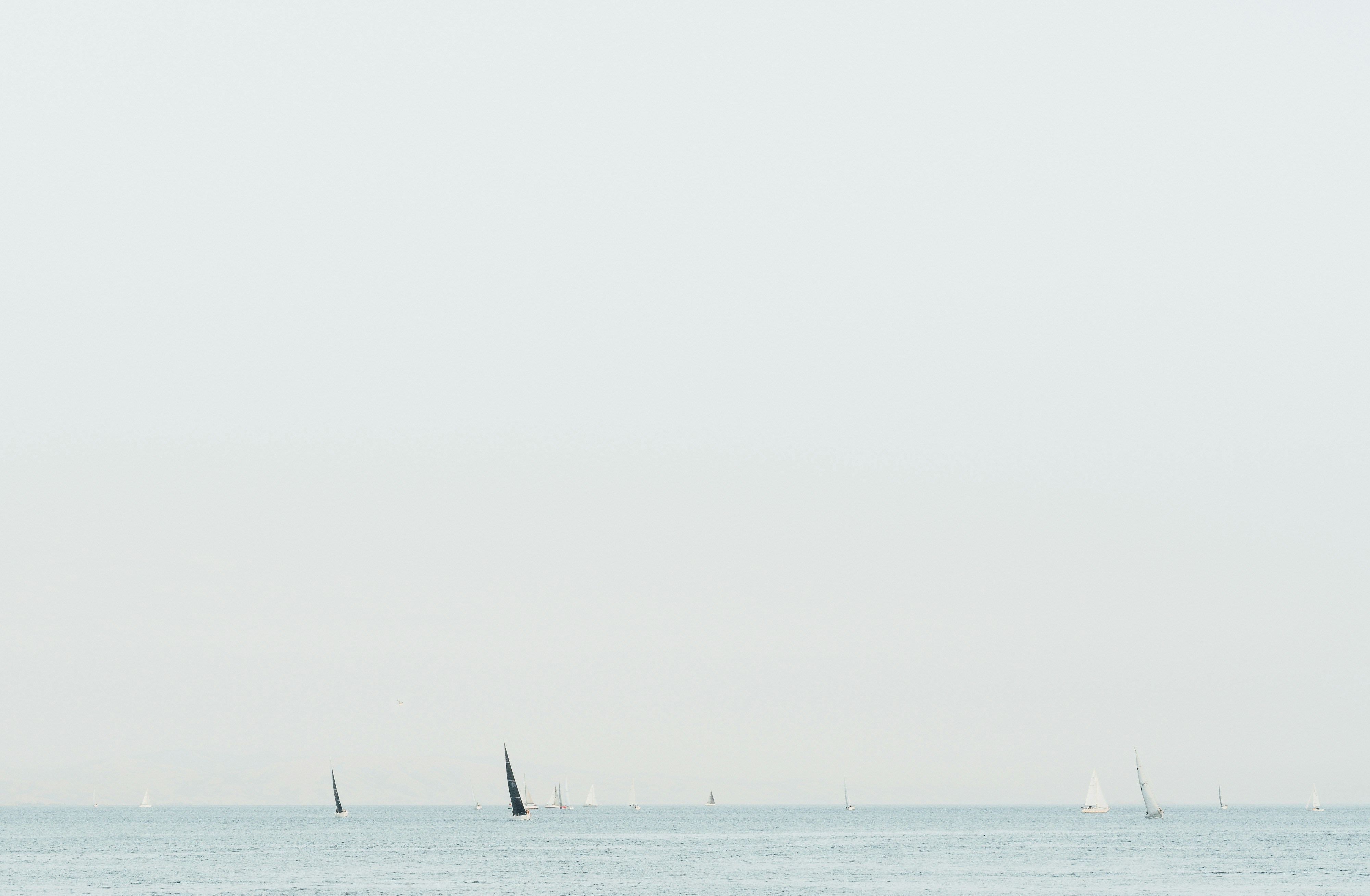 Photo by thommilkovic