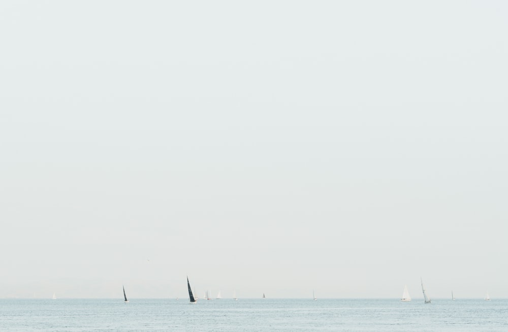 black sailboat on body of water under gray sky