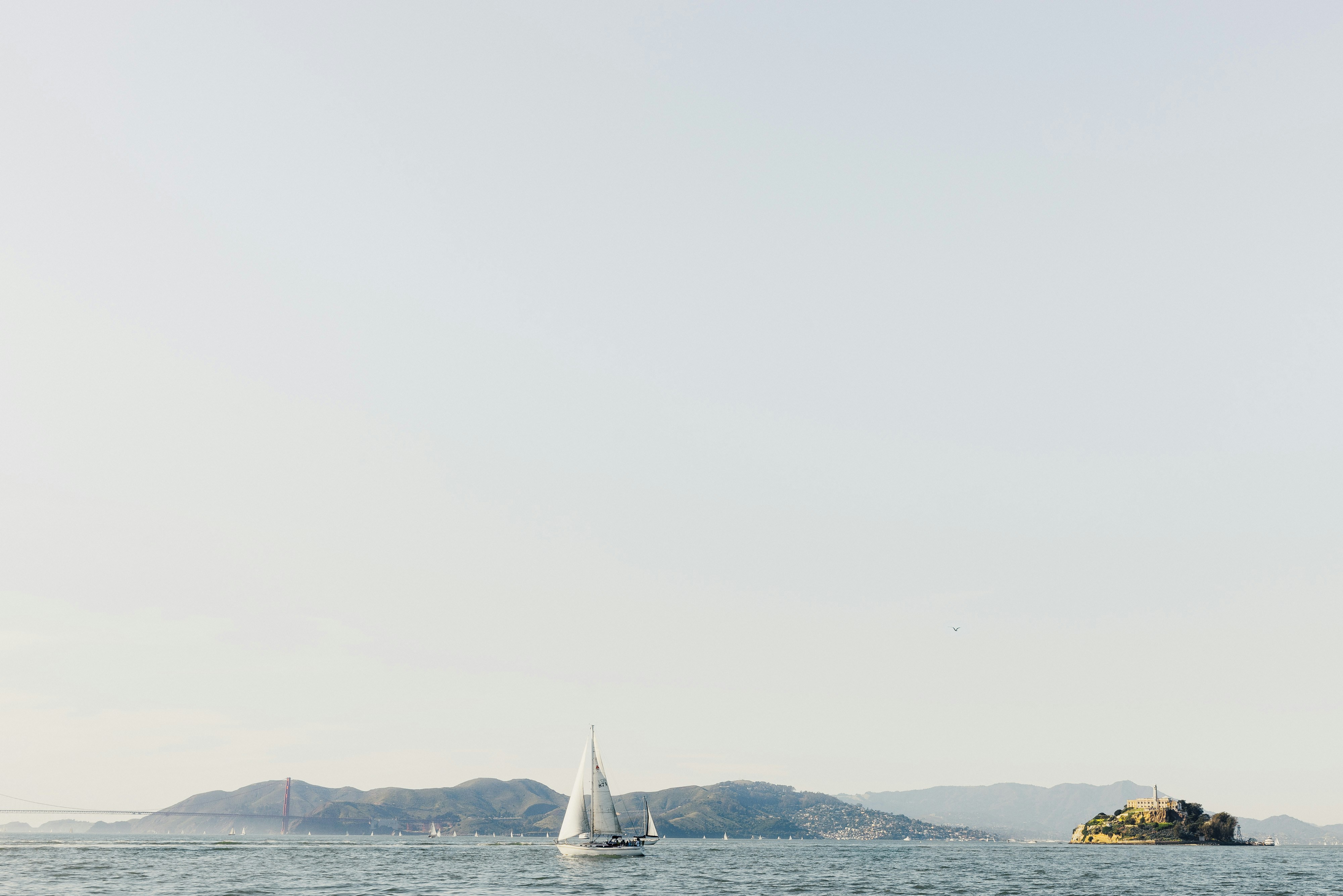Cover Image for Baird Augustine Sailing Day