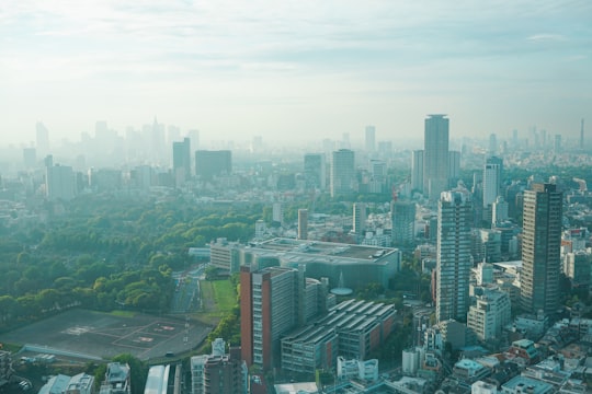 Roppongi things to do in Meiji Jingu Gyoen