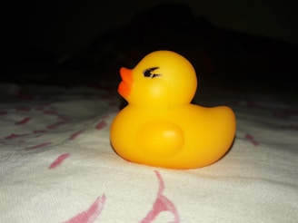 A cheerful yellow duck with a thoughtful expression, perched on a decision wheel.