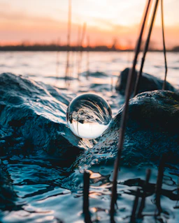 selective focus photography of body of water during golden hour