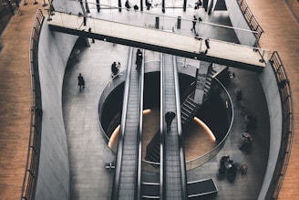 people standing on gray tile flooring