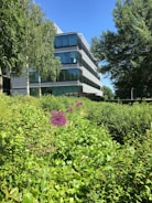 A modern office building surrounded by greenery.