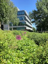 A modern office building surrounded by lush green pepper plantations under a clear sky.