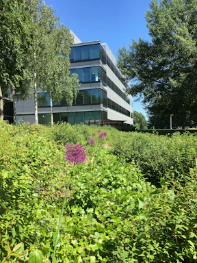A modern office building surrounded by lush green pepper plantations under a clear sky.