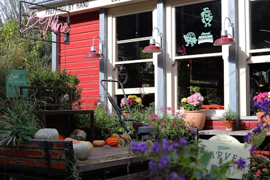 A vibrant and colorful storefront with a red wooden exterior, adorned with neon signs and hanging lamps. The area is full of lush greenery and potted plants with an assortment of pumpkins arranged in front. The windows display cheerful cartoon faces and slogans promoting burgers.