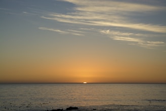 A serene sunset over the ocean with whales swimming nearby.