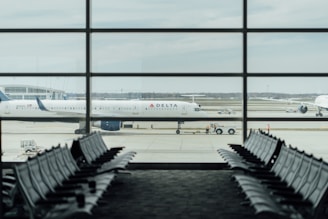 blue and white Delta airplane