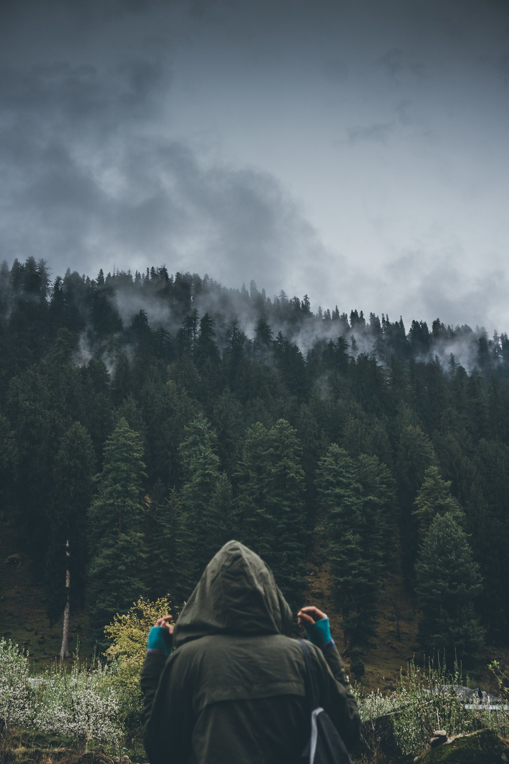 灰色の雲の下で木々と向き合う人