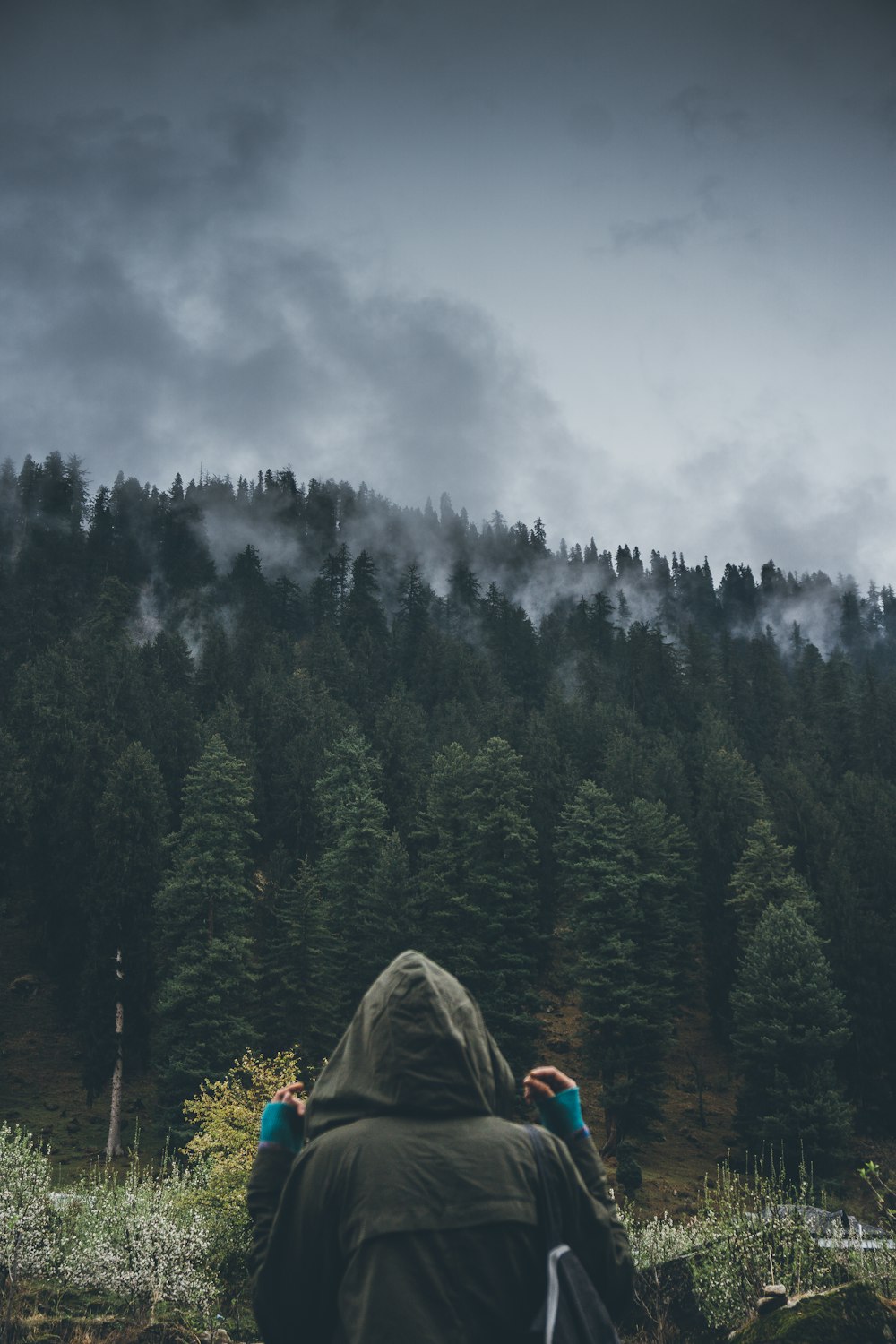 person facing trees under gray clouds