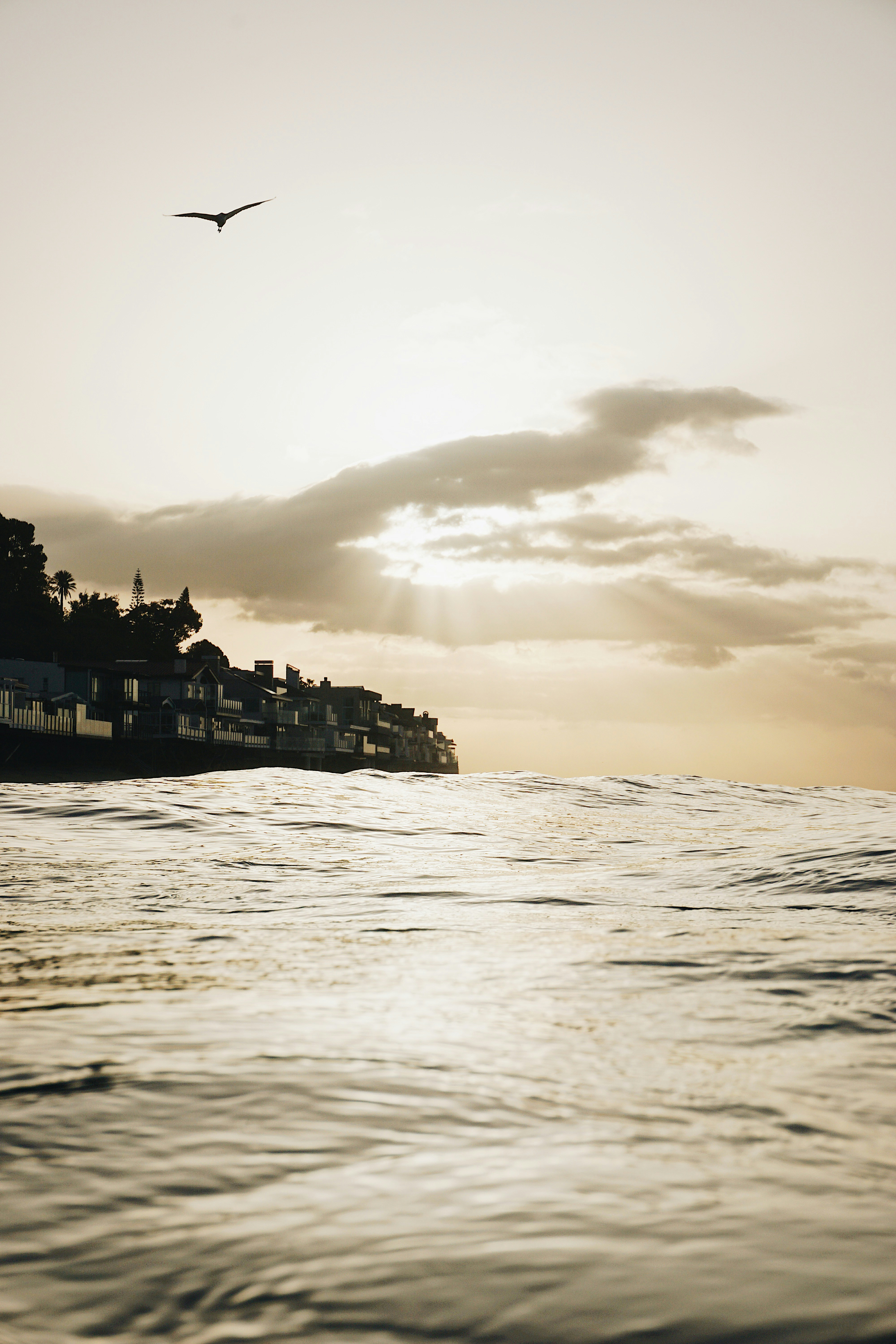 ���� ���� ������ �� ���� ������