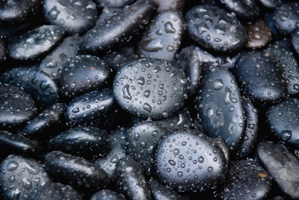 black stones with water dew