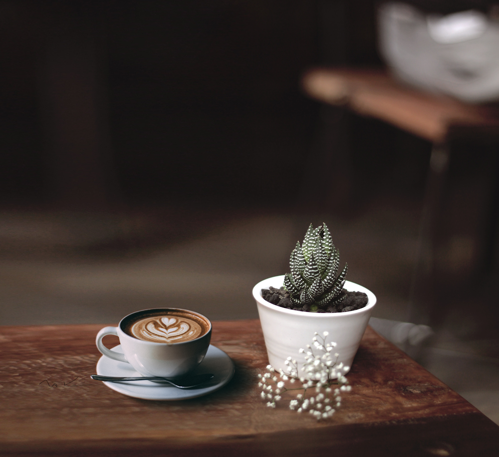café dans une soucoupe à côté de la plante sur la table