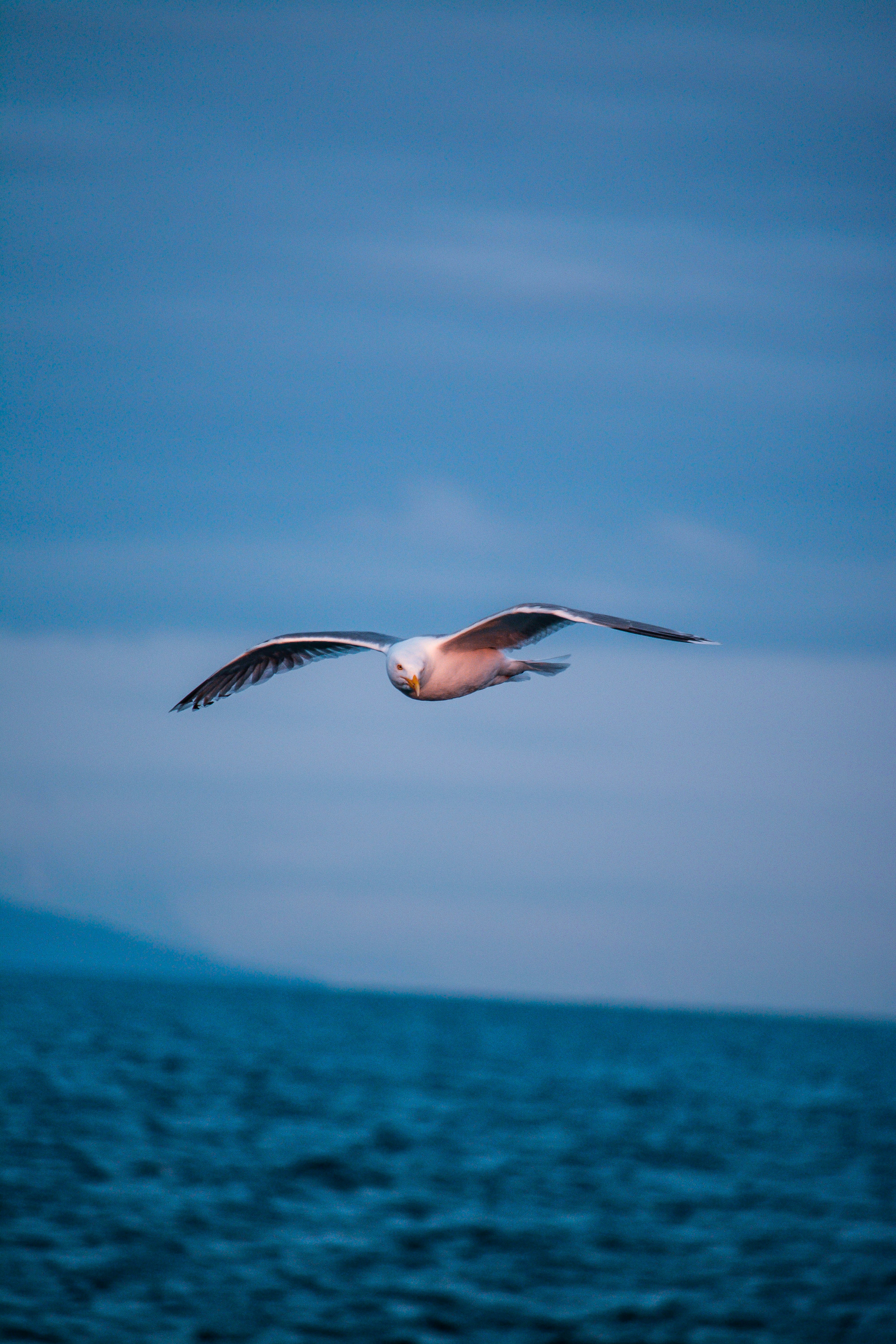 photo-1524772898162-11911ee550c4?ixid=M3wxMjA3fDB8MXxzZWFyY2h8MTF8fHh4eCUyMGthbWVyYXxlbnwwfHx8fDE3MzIwMTY5MjZ8MA\u0026ixlib=rb-4.0.3