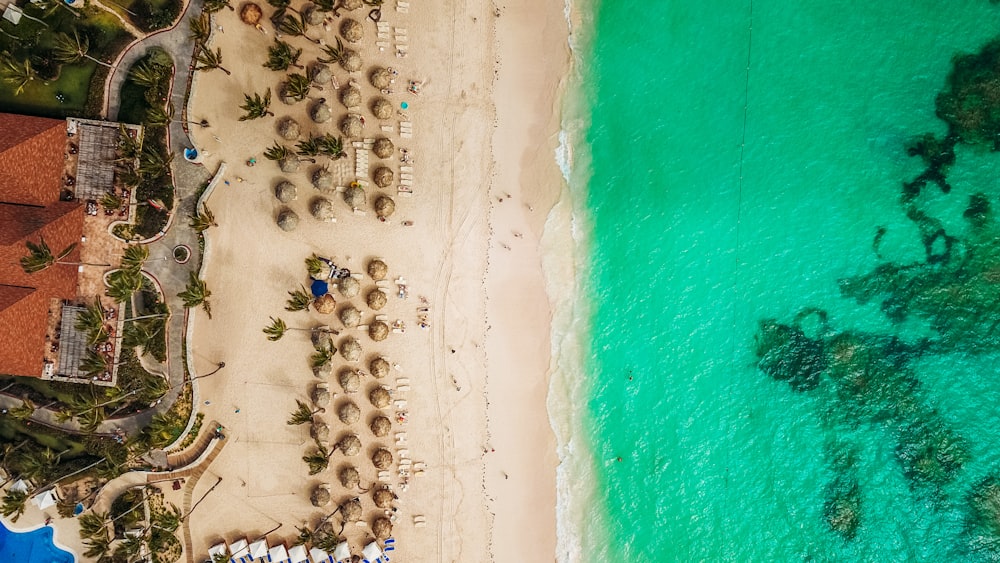 aerial view of white beach