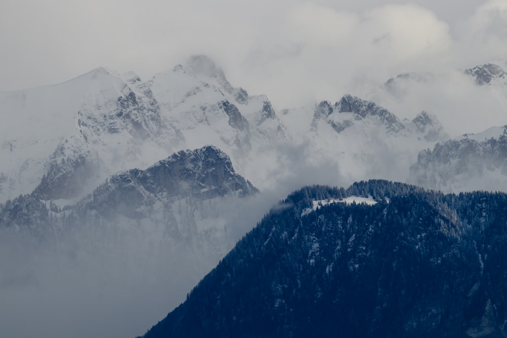 灰色の雪に覆われた山