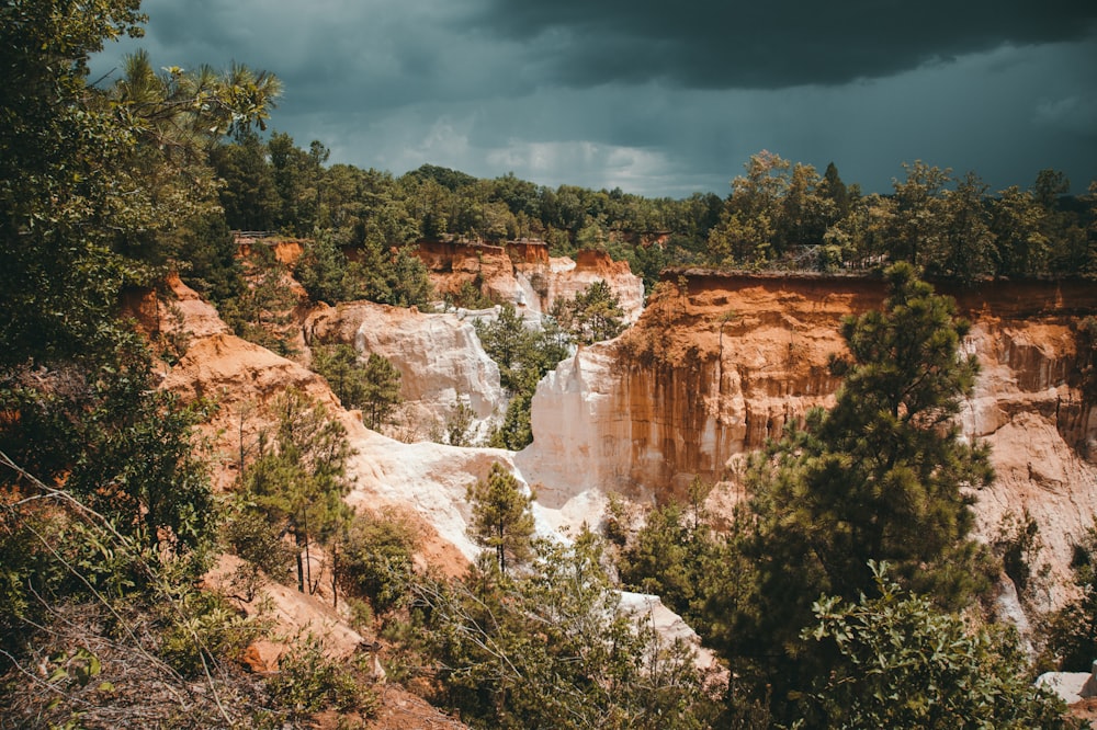 green trees near brown rock formation under blue sky during daytime