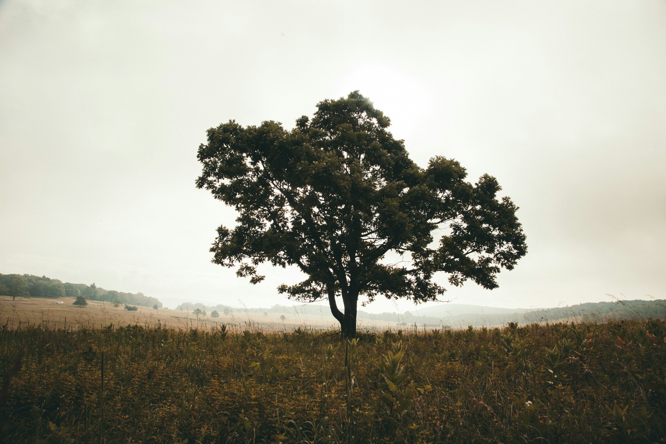 Photo by kyleloftusstudios