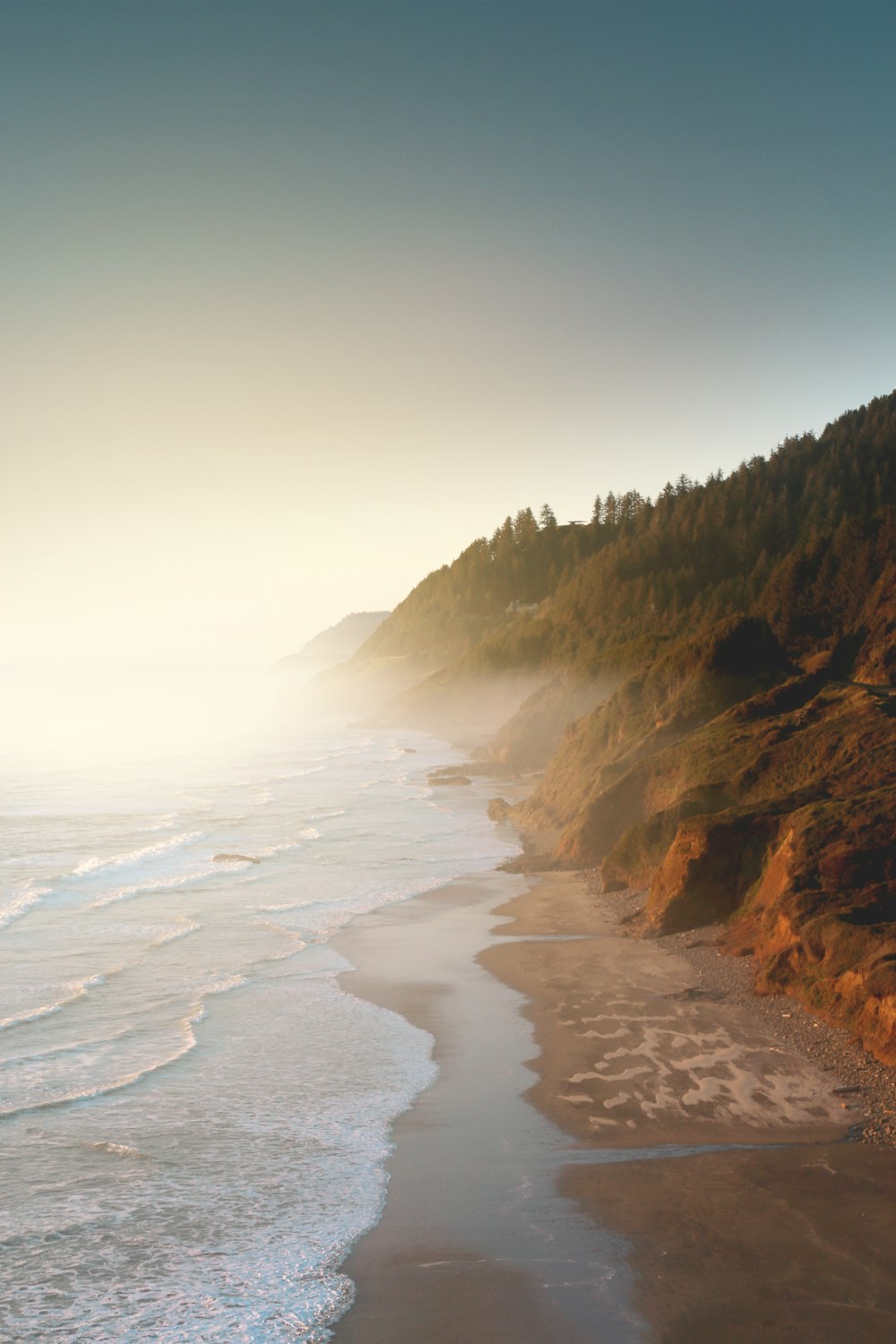 cliff with trees near shore during daytime