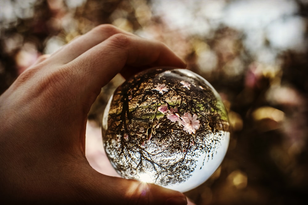 Person, die den Ball hält, konzentriert sich auf den Baum