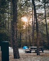 Robins Roost Campground nestled among tall trees with campers enjoying a campfire at dusk.