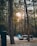 A campsite set amidst a forest with tall trees, featuring a blue tent pitched on the ground. A wooden picnic table is situated nearby, along with a fire pit. The sun is visibly setting or rising, casting a warm glow through the tree branches.