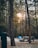 A campsite set amidst a forest with tall trees, featuring a blue tent pitched on the ground. A wooden picnic table is situated nearby, along with a fire pit. The sun is visibly setting or rising, casting a warm glow through the tree branches.