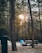 A campsite set amidst a forest with tall trees, featuring a blue tent pitched on the ground. A wooden picnic table is situated nearby, along with a fire pit. The sun is visibly setting or rising, casting a warm glow through the tree branches.