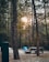 A campsite set amidst a forest with tall trees, featuring a blue tent pitched on the ground. A wooden picnic table is situated nearby, along with a fire pit. The sun is visibly setting or rising, casting a warm glow through the tree branches.