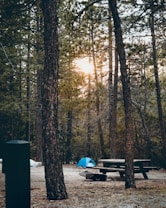 A campsite set amidst a forest with tall trees, featuring a blue tent pitched on the ground. A wooden picnic table is situated nearby, along with a fire pit. The sun is visibly setting or rising, casting a warm glow through the tree branches.