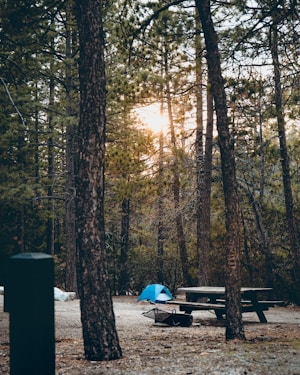 A campsite set amidst a forest with tall trees, featuring a blue tent pitched on the ground. A wooden picnic table is situated nearby, along with a fire pit. The sun is visibly setting or rising, casting a warm glow through the tree branches.