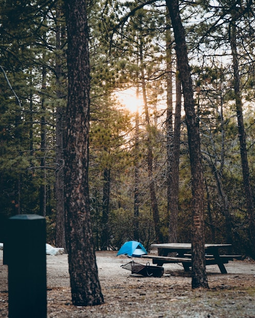 A campsite set amidst a forest with tall trees, featuring a blue tent pitched on the ground. A wooden picnic table is situated nearby, along with a fire pit. The sun is visibly setting or rising, casting a warm glow through the tree branches.